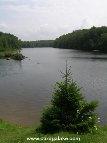 Stewart Landing Canada Lake 11