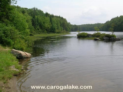 Stewart Landing Canada Lake 15