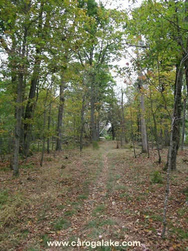 Kane Mountain Fire Tower Trail 27