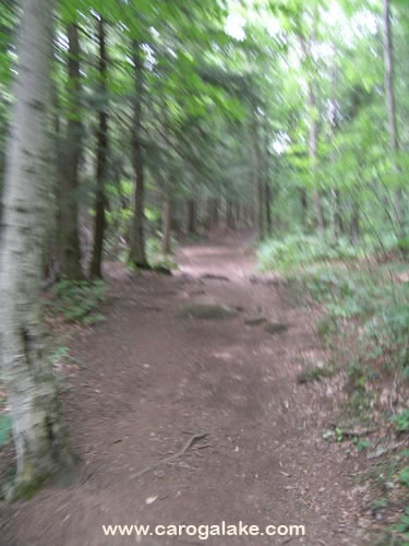 Nine Cornered Lake Trail 09